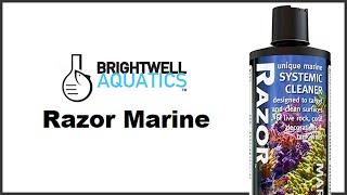 Brightwell Aquatics Razor