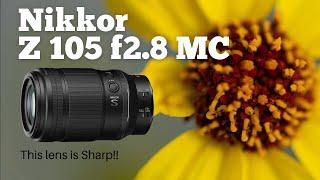 Nikkor Z MC 105mm f/2.8 VR S Review with Test Footage