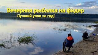 Поймал гиганта... Наловили рыбы, попали на жор подлещика! Вечерняя рыбалка на фидер