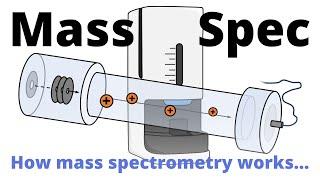 Mass Spectrometry explained – how it works