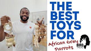 African Grey Parrots vs @BirdTricks  Exclusive Toy Line | Enrichment