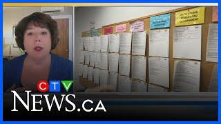 Unemployment rate for youth in Alberta is the highest in the country: Stats Canada