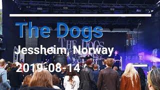 The Dogs @ Jessheim, Norway - 2019-08-14