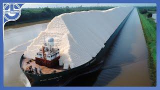 Harvesting MILLIONS of Tons Of Sugarcane To Make Raw And Refined SUGAR