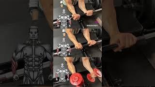 چند تمرین ساده برای ساعد و مچ دست #مربی #باشگاه #ورزش #gym #باشگاه #باشگاه_بدنسازی