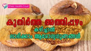 കുതിർത്ത അത്തിപ്പഴം കഴിച്ചാൽ പലതുണ്ട് ഗുണങ്ങൾ | Health Benefits Of Soaked Fig | Ethnic Health Court