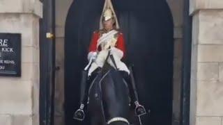 Most funniest moments at horse guards will have you laughing #kingsguard