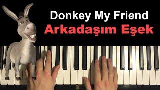 Arkadaşım Eşek - Barış Manço (Piano Tutorial Lesson)