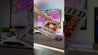 One piece Wanted en cuadros de metacrilato
