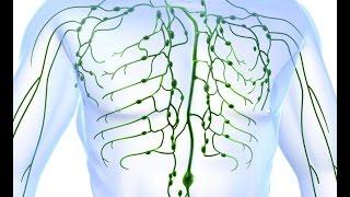 Остеопатия на лимфатической системе - мфр, жидкостные, орто-техники