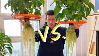 Hydroponic Peppers Race - Kratky vs DWC