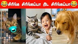  காப்பாத்திட்டான்டா என் கண்ணுகுட்டி #viral #trending #comedy #funnyanimalvideos