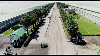 Ethiopia Blooming- EHPEA Promotional Film 2018