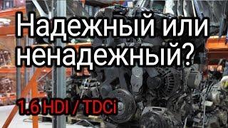 Надежный или ненадежный? Обсуждаем и показываем проблемы двигателя 1.6 HDI / TDCI (DV6TED4)