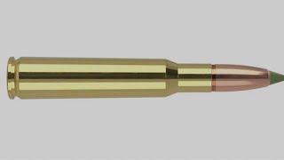 Classic deer hunting rifle cartridge that is still relavent  133 years later
