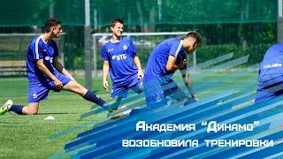 Академия "Динамо" возобновила тренировки