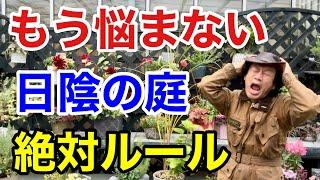 【実はよく育つ】日陰で植物を育てるなら必ずこれをして下さい　　　【カーメン君】【園芸】【ガーデニング】【初心者】