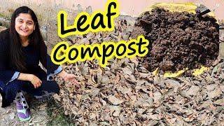 LEAF COMPOST AT HOME WITH RESULTS IN SIMPLE STEPS/ Compost of dry leaves #leafcompost #gardening