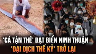 ‘Cá tận thế’ dạt bờ biển Việt Nam, Châu Á tái bùng phát 'đại dịch thế kỷ'