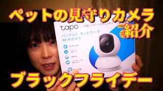 ペットの見守りカメラが激安！ブラックフライデーの戦利品紹介！