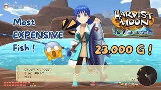 Catching Nidhogg The Most Expensive Fish In Harvest Moon Wind of Anthos