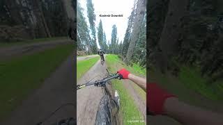 Drogdolan-Yousmarg Kashmir Trail Approx 5 kms fully wet and muddy trail @insta360