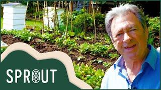 Sprout - Gardening Channel: Secrets to Starting Your Own Vegetable Patch