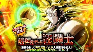 2024 WWDC PART 2! DOKKANFEST LR INT LSSJ BROLY DOKKAN BOSS BATTLE! (DBZ: Dokkan Battle)