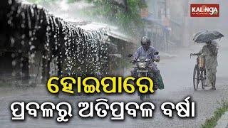 Heavy rain likely in Odisha as low pressure intensifies into depression || Kalinga TV