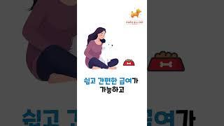 강아지 유산균 편리성 끝판왕을 소개합니다. (ft. 하루올데이 PROBIOTICS)