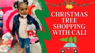 Cali Goes Christmas Tree Shopping | iLuvCali