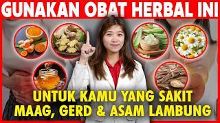 6 OBAT HERBAL ALAMI MURAH UNTUK SAKIT GERD, MAAG DAN ASAM LAMBUNG