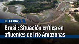 Situación crítica en afluentes del río Amazonas por sequía en Brasil | El Tiempo