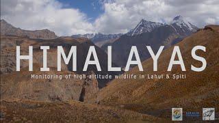 Monitoring mammals in Trans-Himalaya