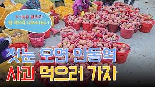 [K-Rural announcement] Let's go eat an apple at Andong Station when it first snows.|Ep.1 #K_content