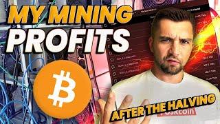 How Much Am I Earning Mining Bitcoin in 2024 -- IT'S BAD