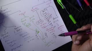 Functional Components of Cranial Nerves