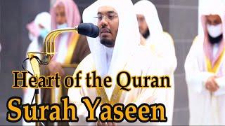 Surah Yaseen with English translation | Sheikh Yasser al Dossari Beautiful Recitation