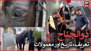 Zuljanah: brief history & routine of stallions attributable to one held by Imam Hussain