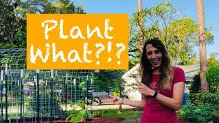 Before you grow your own food, WATCH THIS! | Edible Garden Planner