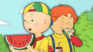 Caillou Has a Picnic | Caillou - WildBrain