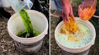 Make This Fertilizer at Home and Watch Your Garden EXPLODE with Growth!