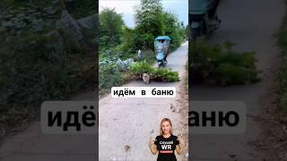 идем в баню #угар #прикол #приколы #корги