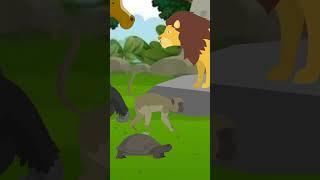 Sust Kachua | One Minute Story | Cartoon Animal |#cartoon