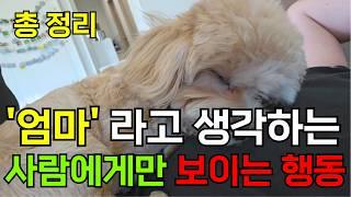 가장 사랑하는 한 사람에게만 보이는 행동 / '엄마'라고 생각하는 사람에게 보이는 행동들