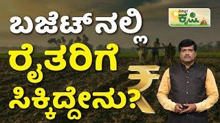 Schemes Announced For Agriculture Sector In Budget | Union Budget 2024 | Agriculture Sector