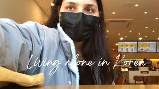 Living alone in Korea - Day in my life GKS scholar edition| Indian in korea 