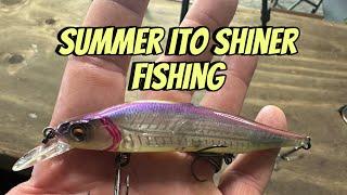 When The Ito Shiner Is The Best Summertime Lure You Can Throw…