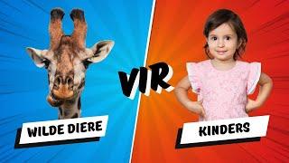 Wilde diere tema #kleuters #kinders #lami #afrikaans