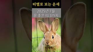 띠별로 보는 운세! 2025년 7월 운 좋은 띠 3가지!  #띠별운세